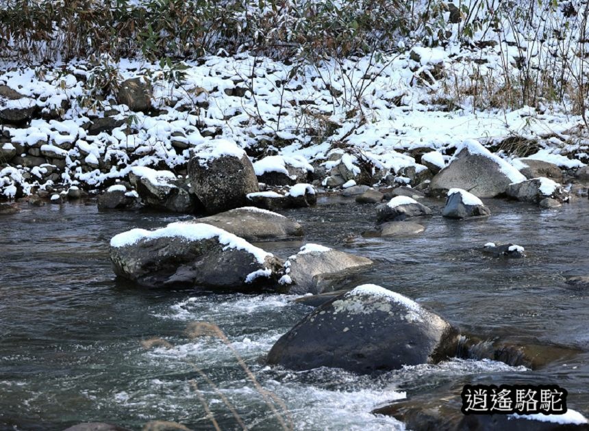 定山溪二見公園-日本駱駝