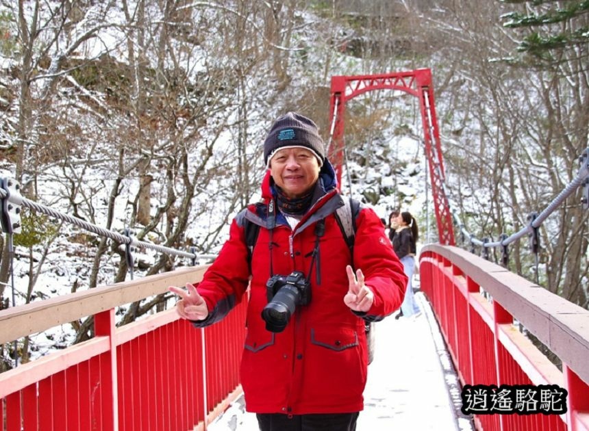 二見吊橋-日本駱駝