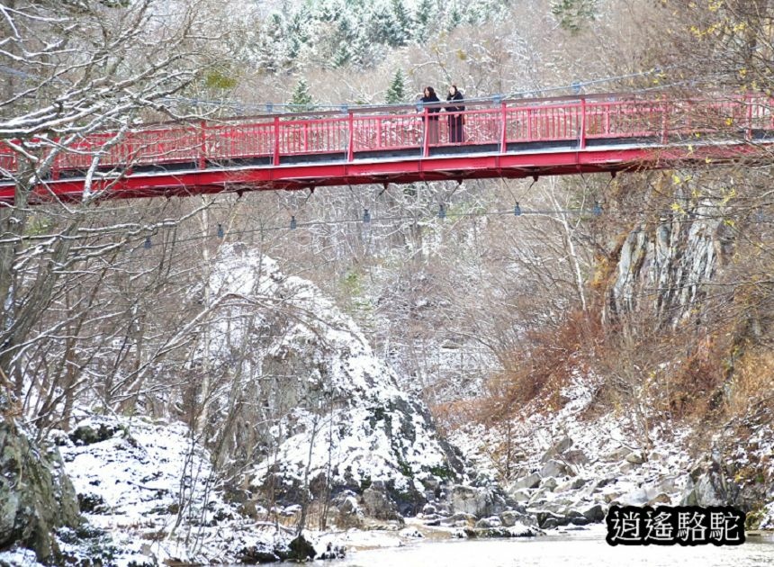 二見吊橋-日本駱駝