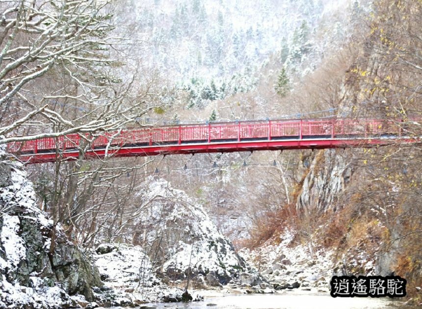 二見吊橋-日本駱駝