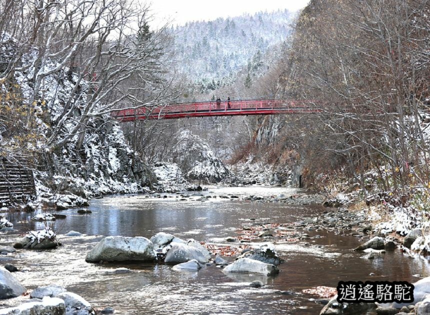 二見吊橋-日本駱駝