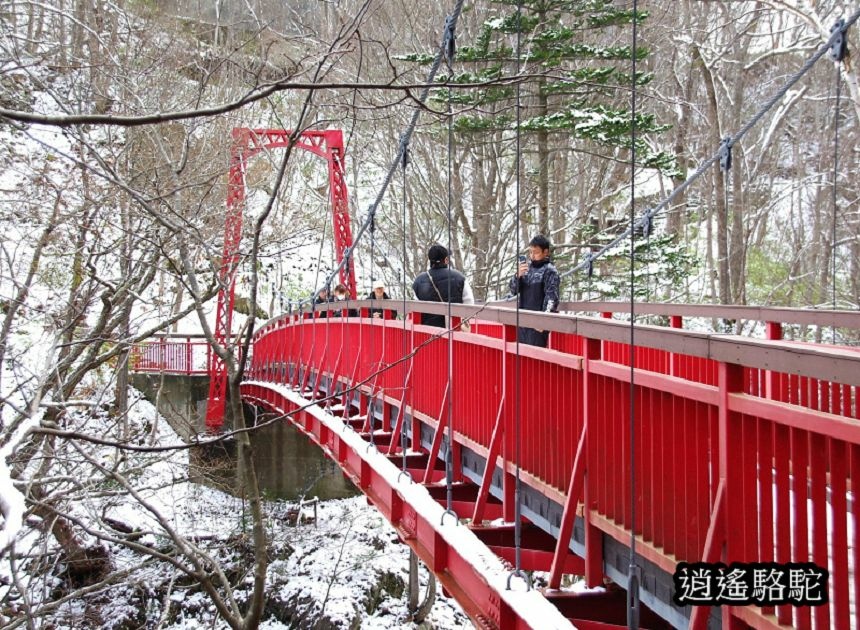 二見吊橋-日本駱駝