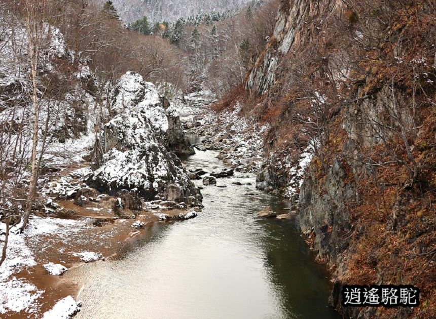 二見吊橋-日本駱駝