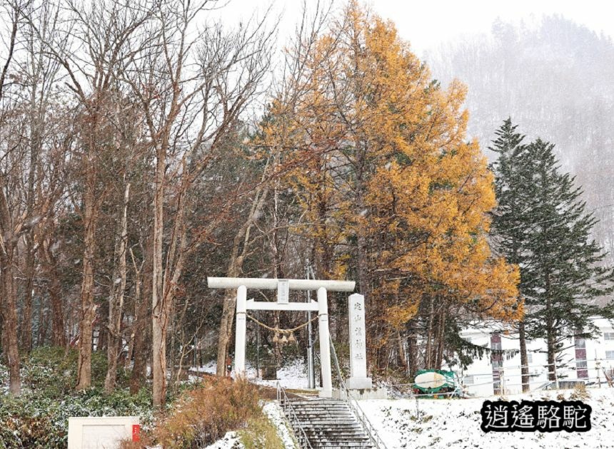 定山溪神社-日本駱駝