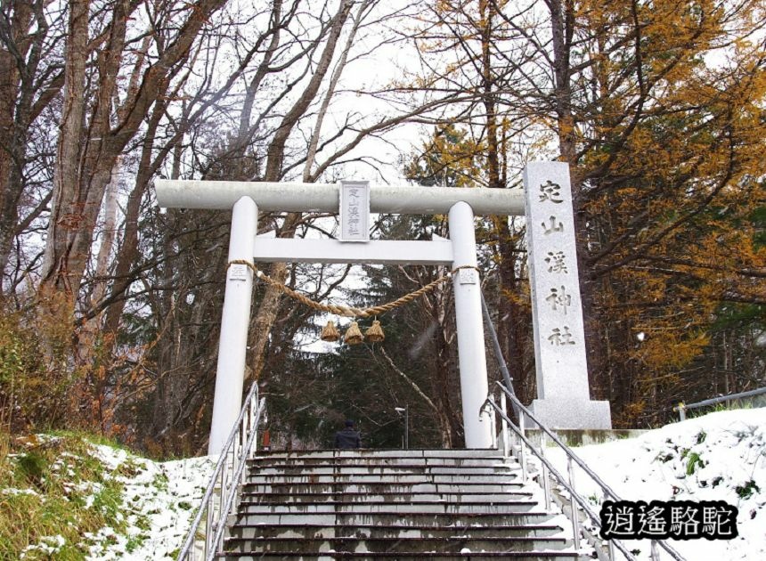 定山溪神社-日本駱駝