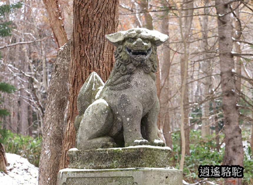 定山溪神社-日本駱駝