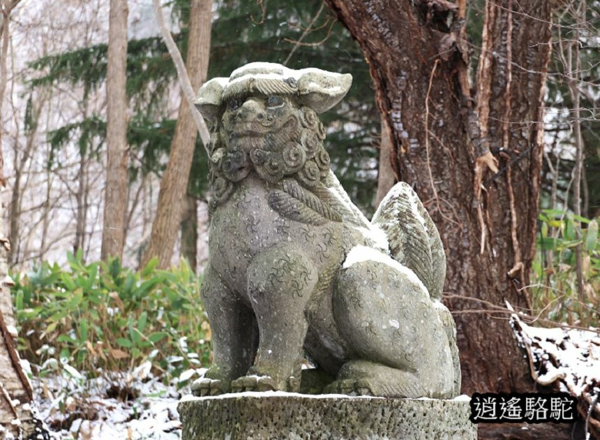 定山溪神社-日本駱駝