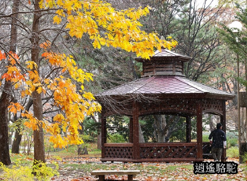 菖蒲池畔秋葉繽紛-日本駱駝