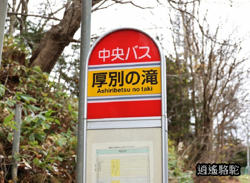 真駒內車站前楓紅層層-日本駱駝