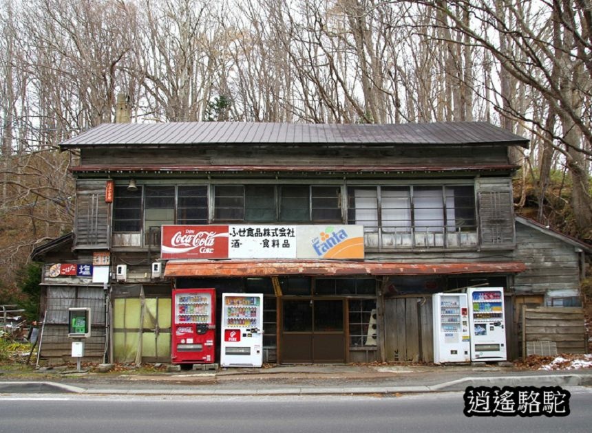 真駒內車站前楓紅層層-日本駱駝