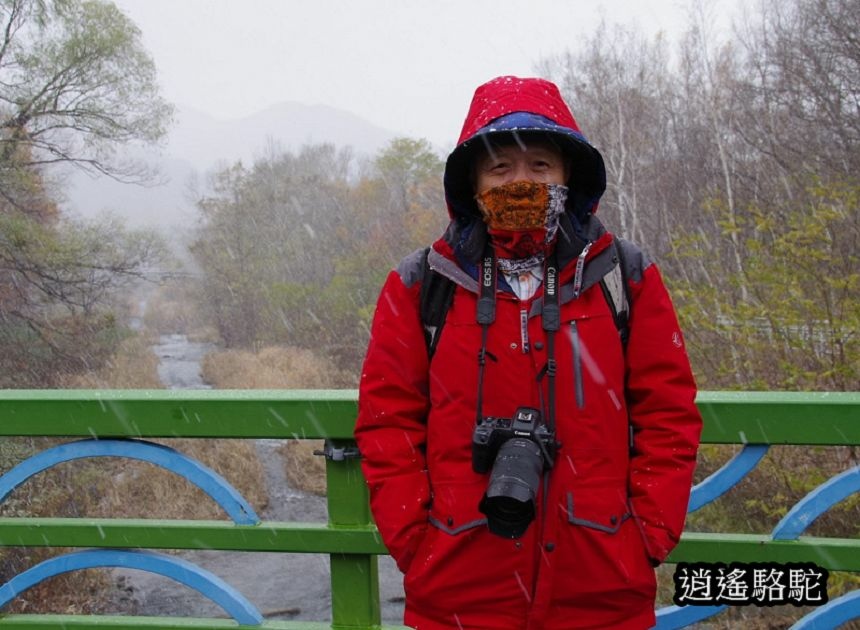 北海道真駒內公園-日本駱駝