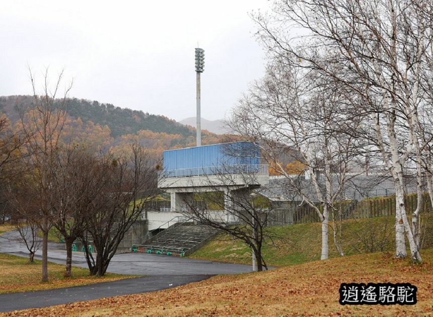 北海道真駒內公園-日本駱駝