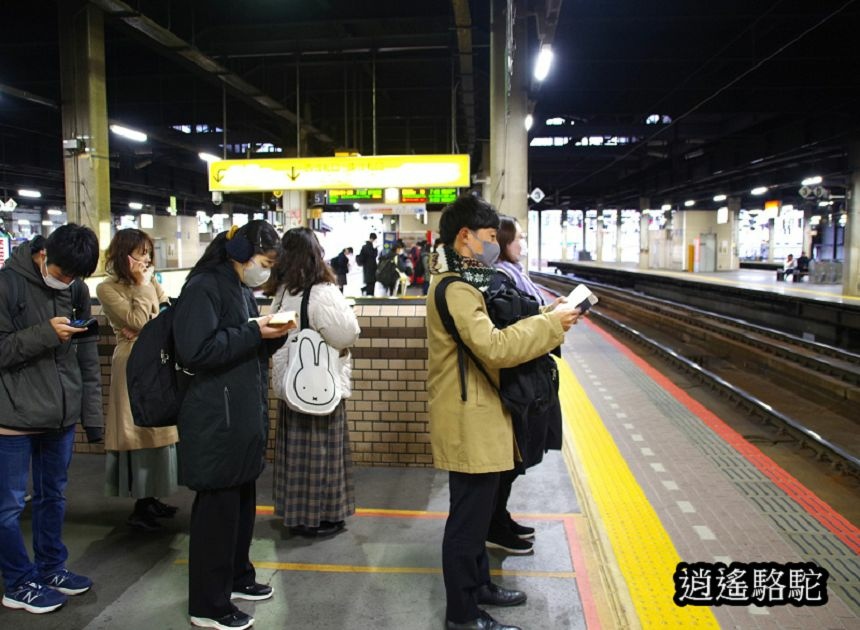 蕭瑟的支笏湖-日本駱駝