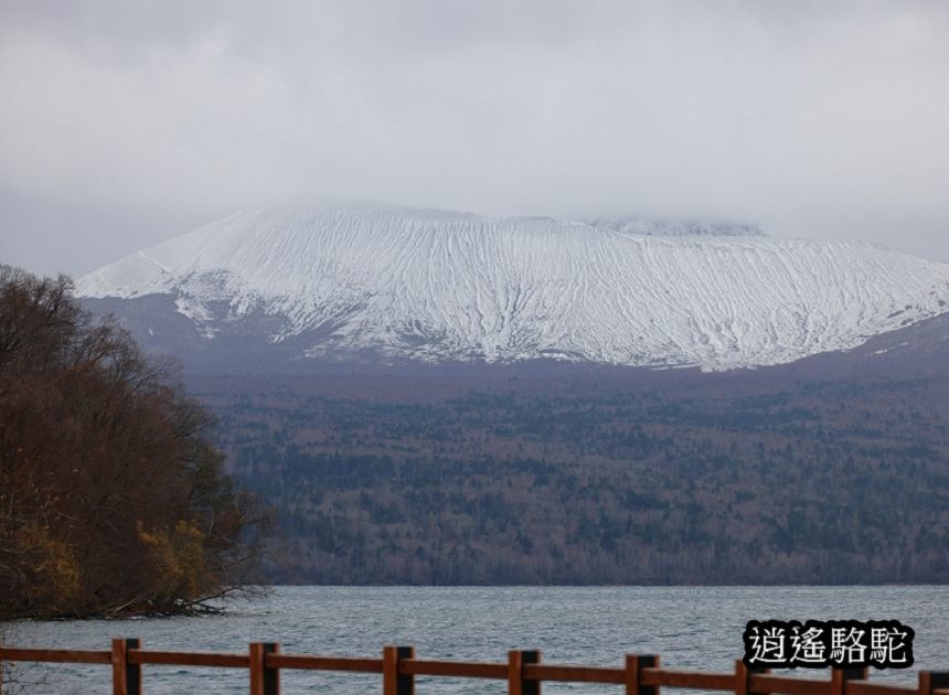 蕭瑟的支笏湖-日本駱駝