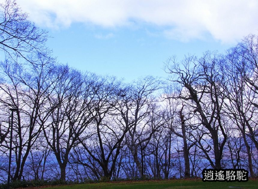 蕭瑟的支笏湖-日本駱駝