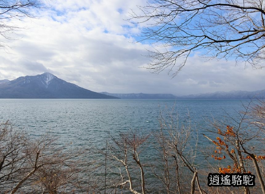 蕭瑟的支笏湖-日本駱駝