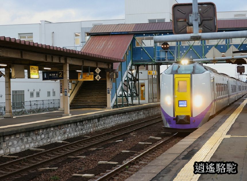 伊達紋別車站-日本駱駝