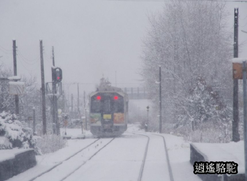 大雪紛飛的美瑛車站-日本駱駝