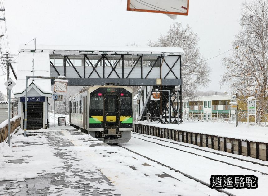 大雪紛飛的美瑛車站-日本駱駝