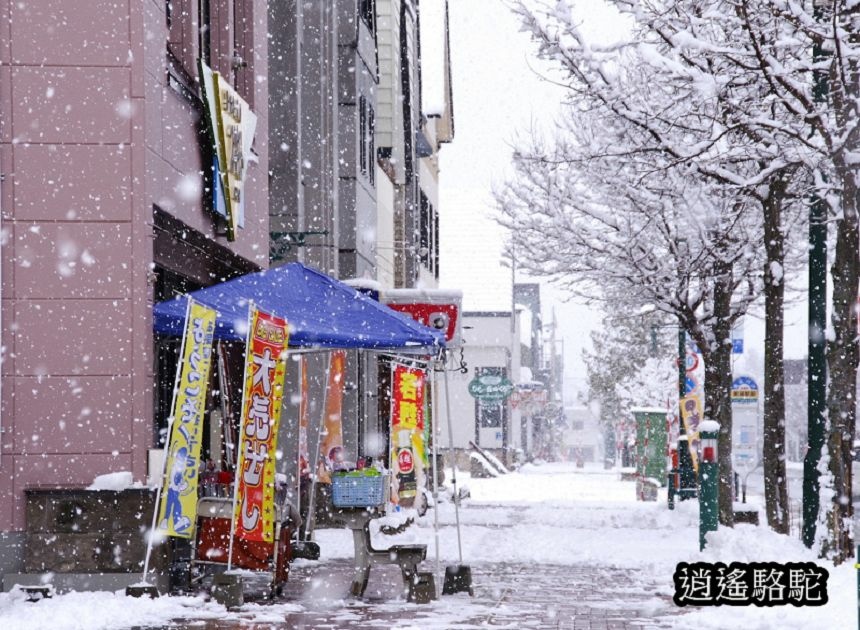 大雪紛飛的美瑛車站-日本駱駝