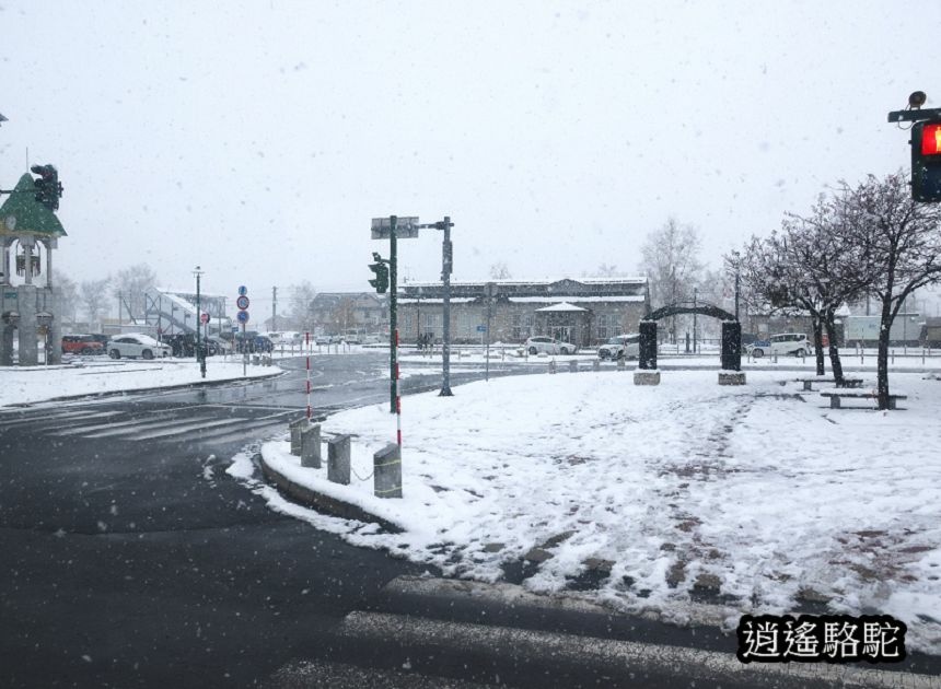 大雪紛飛的美瑛車站-日本駱駝