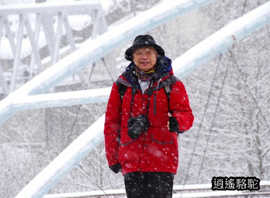 深秋大雪的白金青池-日本駱駝