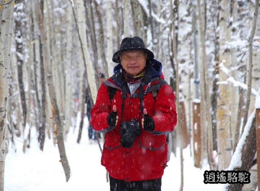 深秋大雪的白金青池-日本駱駝