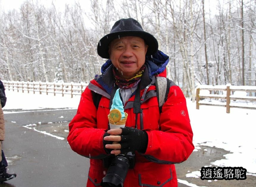 深秋大雪的白金青池-日本駱駝