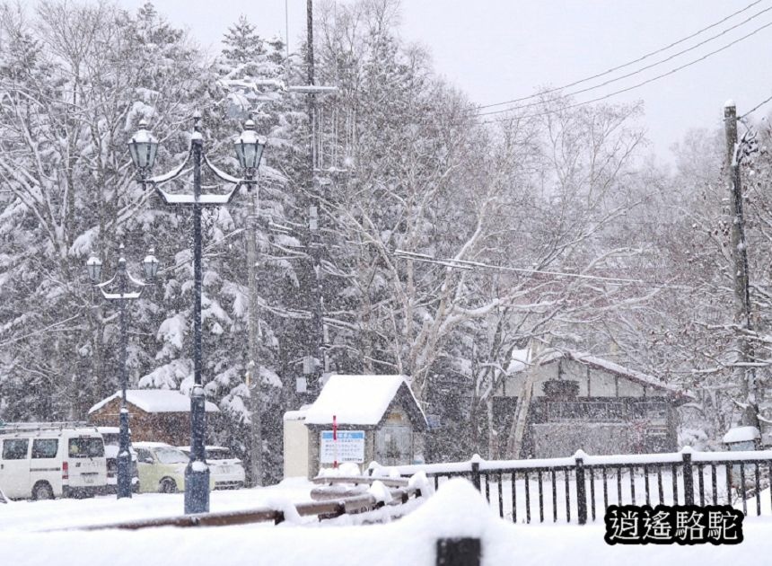 湯元白金温泉ホテル-日本駱駝