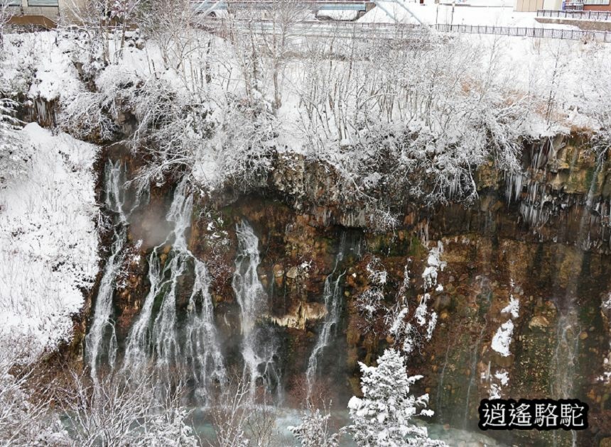 深秋白雪的白鬚瀑布-日本駱駝