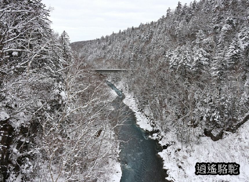 深秋白雪的白鬚瀑布-日本駱駝