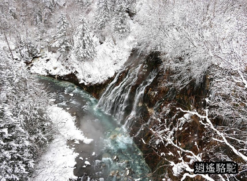 深秋白雪的白鬚瀑布-日本駱駝