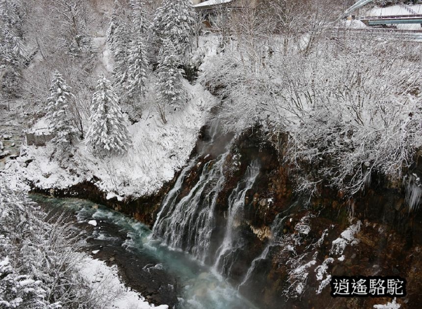 深秋白雪的白鬚瀑布-日本駱駝