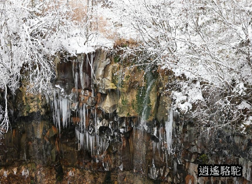 深秋白雪的白鬚瀑布-日本駱駝