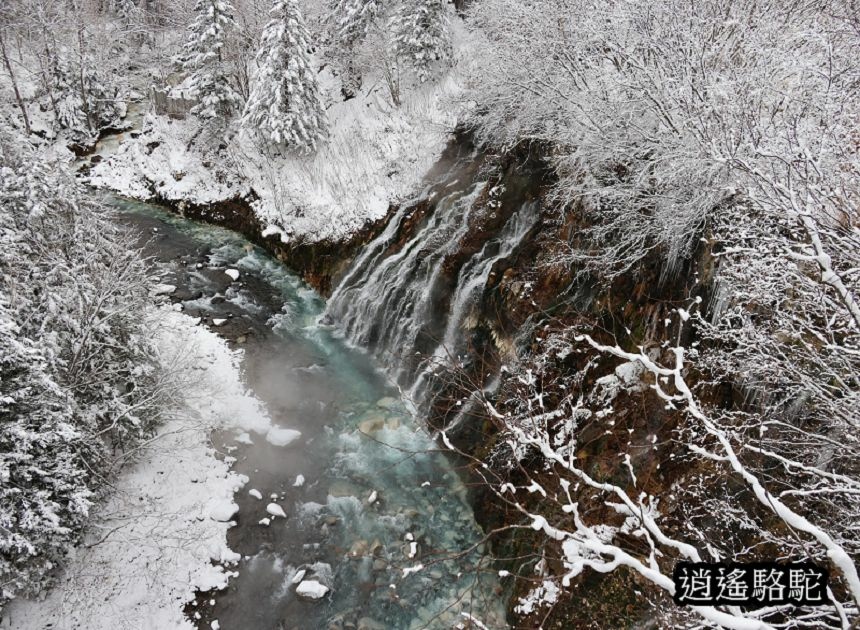 深秋白雪的白鬚瀑布-日本駱駝