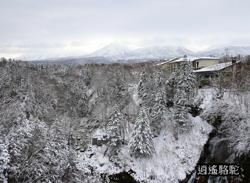 深秋白雪的白鬚瀑布-日本駱駝