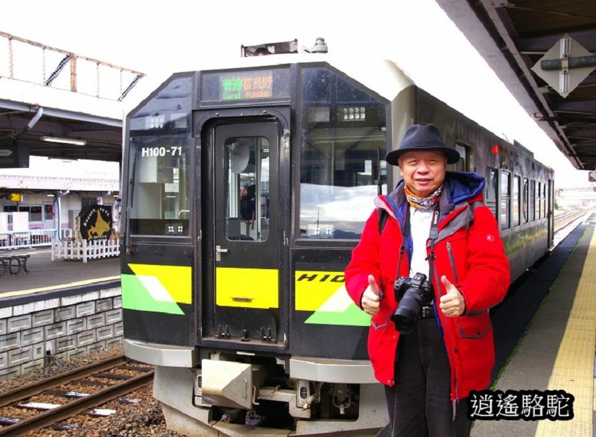 富良野車站-日本駱駝