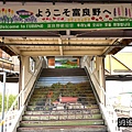 P05.jpg
