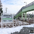 P17.jpg