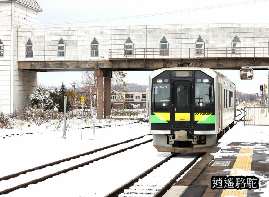 富良野車站-日本駱駝