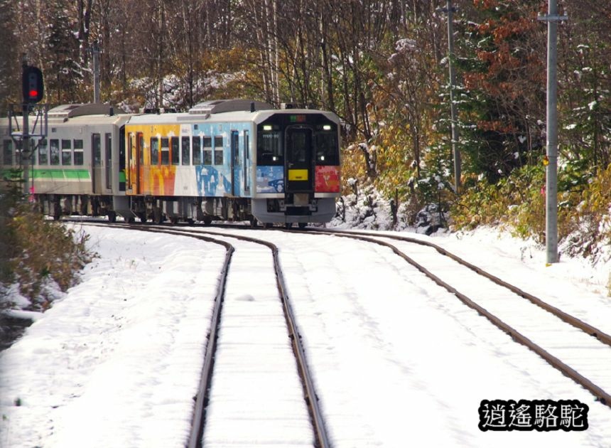 富良野車站-日本駱駝