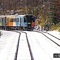 P16.jpg