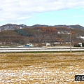 P20.jpg