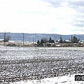 P18.jpg
