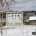 P19.jpg