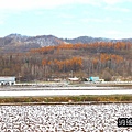 P21.jpg