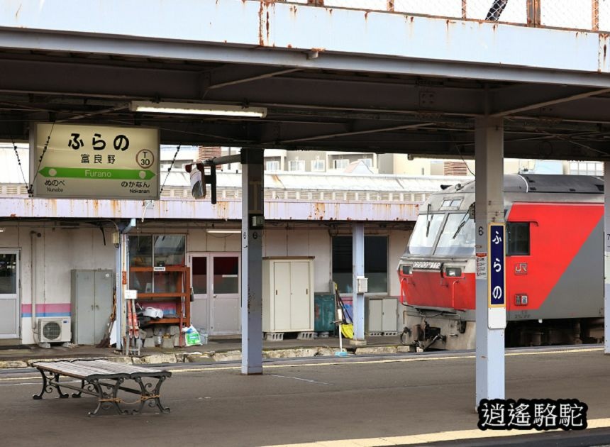 富良野車站-日本駱駝