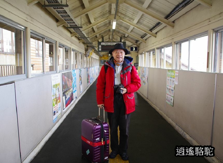 富良野車站-日本駱駝