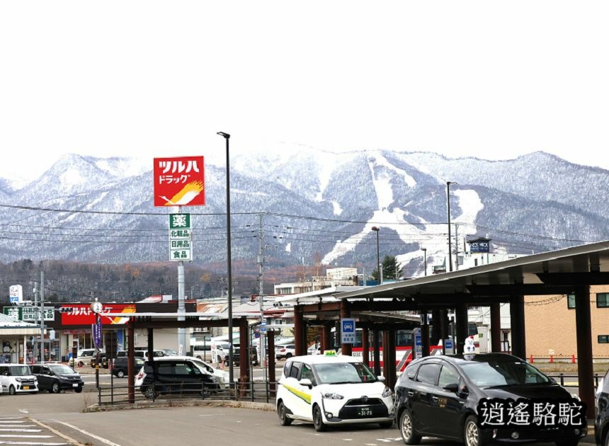 富良野車站-日本駱駝