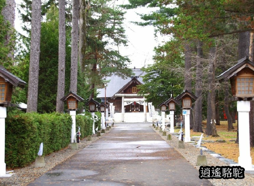 富良野神社-日本駱駝